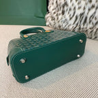 Goyard Crossbody Bag Green